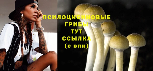 твердый Вязьма