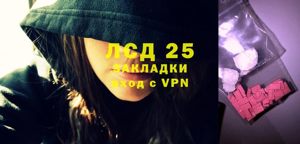 прущий лед Вяземский