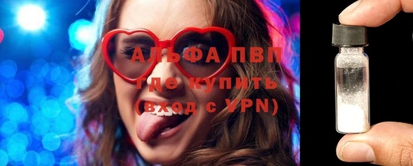 прущий лед Вяземский