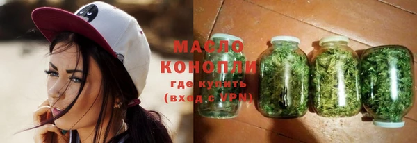 прущий лед Вяземский