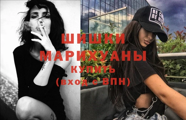 прущий лед Вяземский