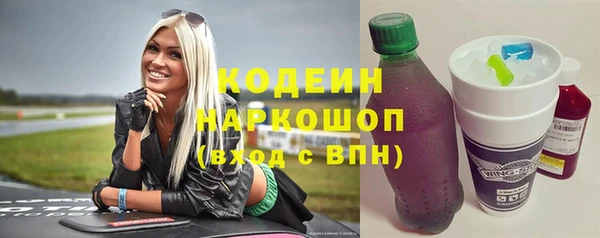 прущий лед Вяземский