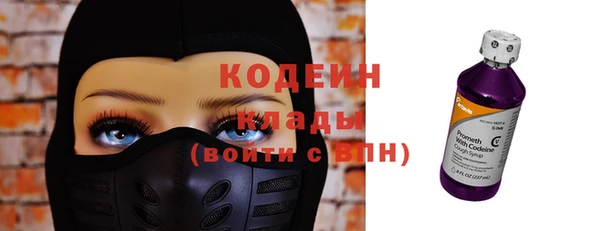 прущий лед Вяземский