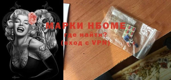 прущий лед Вяземский