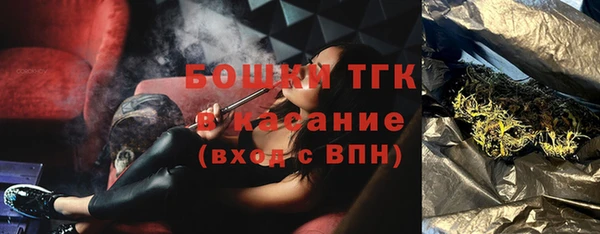 прущий лед Вяземский