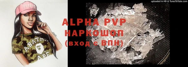 прущий лед Вяземский