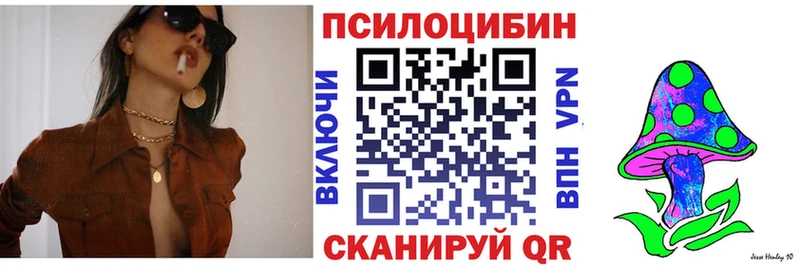 Купить где  Лакинск  Галлюциногенные грибы прущие грибы 
