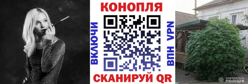 Купить  Лакинск  Конопля White Widow 